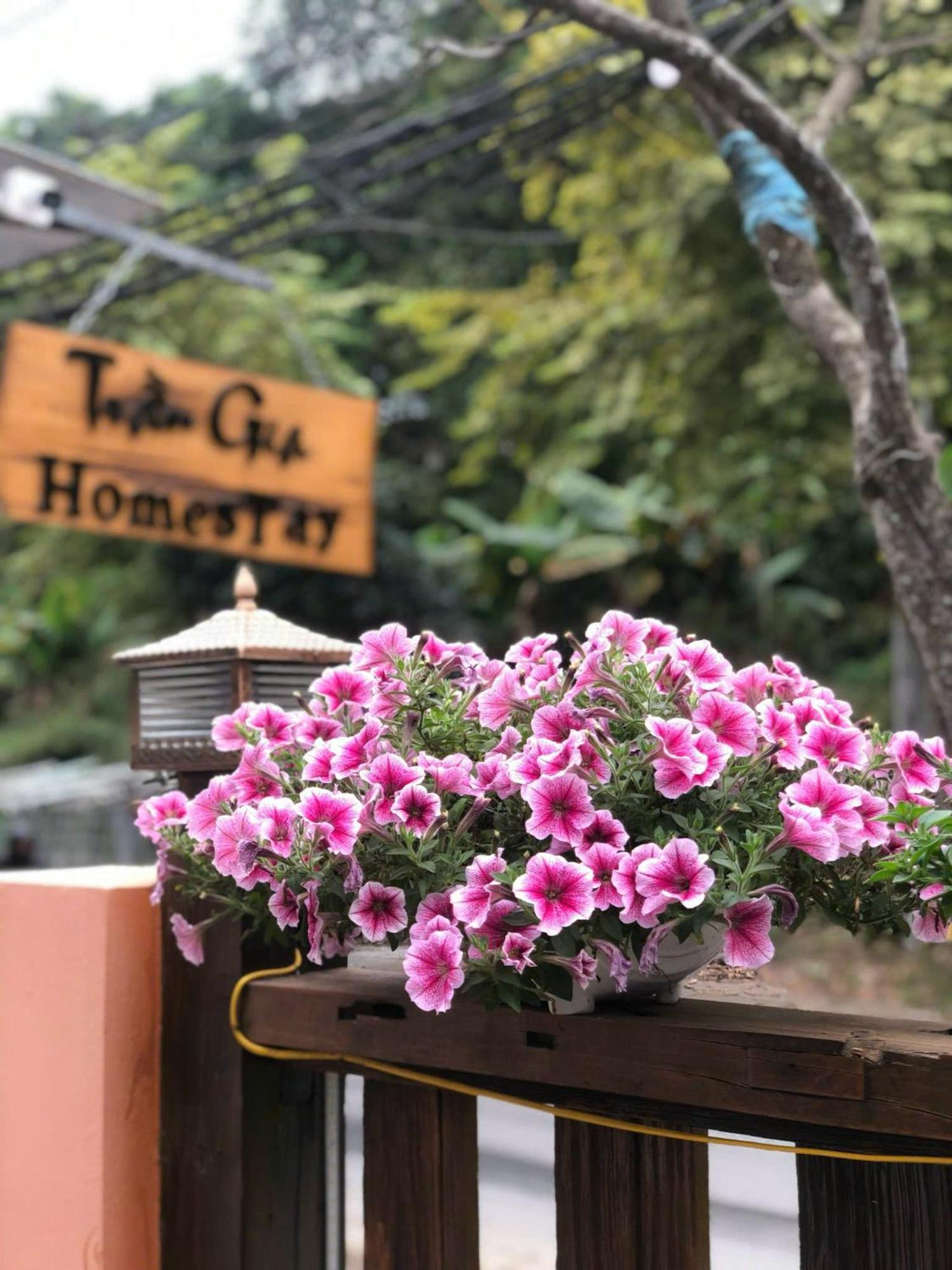 Tran Gia Homestay Nghia Lo Exteriör bild